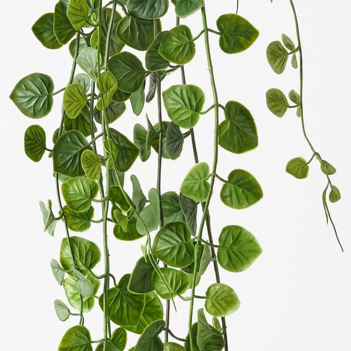 String of Hearts - Biku Furniture & Homewares