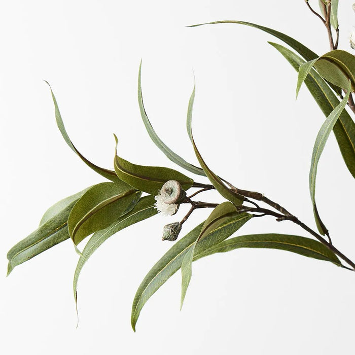 Terzon Pod - Biku Furniture & Homewares