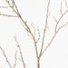 Twig Spray - Biku Furniture & Homewares