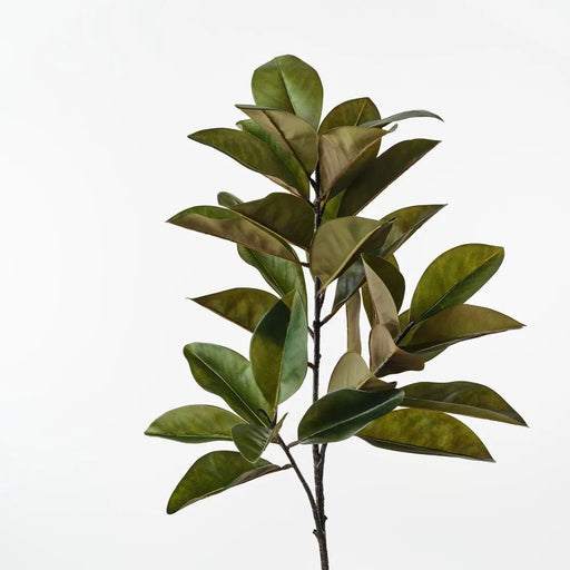 Verdant Rubber Leaf Stem - Biku Furniture & Homewares
