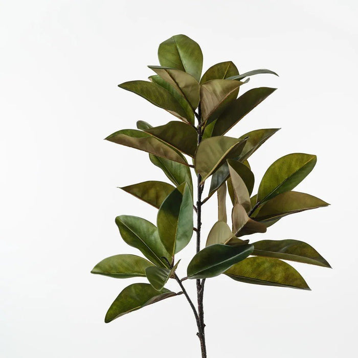 Verdant Rubber Leaf Stem - Biku Furniture & Homewares