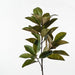 Verdant Rubber Leaf Stem - Biku Furniture & Homewares
