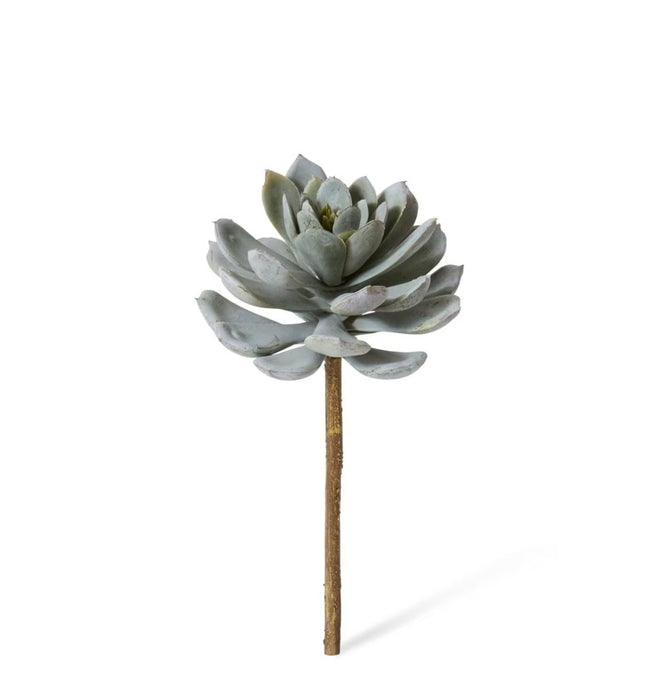 Verdantia Succulent Stem M - Biku Furniture & Homewares