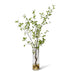 Verdanza Pittosporum L - Biku Furniture & Homewares