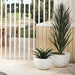 Verdanza Yucca tall - Biku Furniture & Homewares