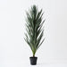 Verdanza Yucca tall - Biku Furniture & Homewares