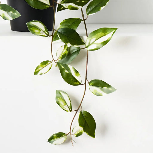 Wax - Vine in Planter - Biku Furniture & Homewares