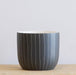 Coco Ceramic Pot - Biku Furniture & Homewares