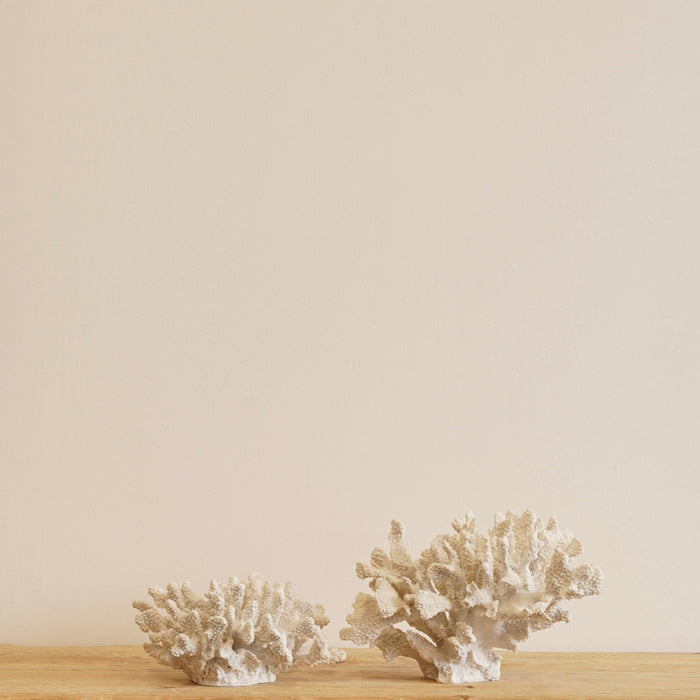 Corfu Coral Sculpture - Biku Furniture & Homewares