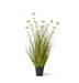 Grass Pom Pom Reed in Pot - Biku Furniture & Homewares