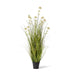 Grass Pom Pom Reed in Pot - Biku Furniture & Homewares
