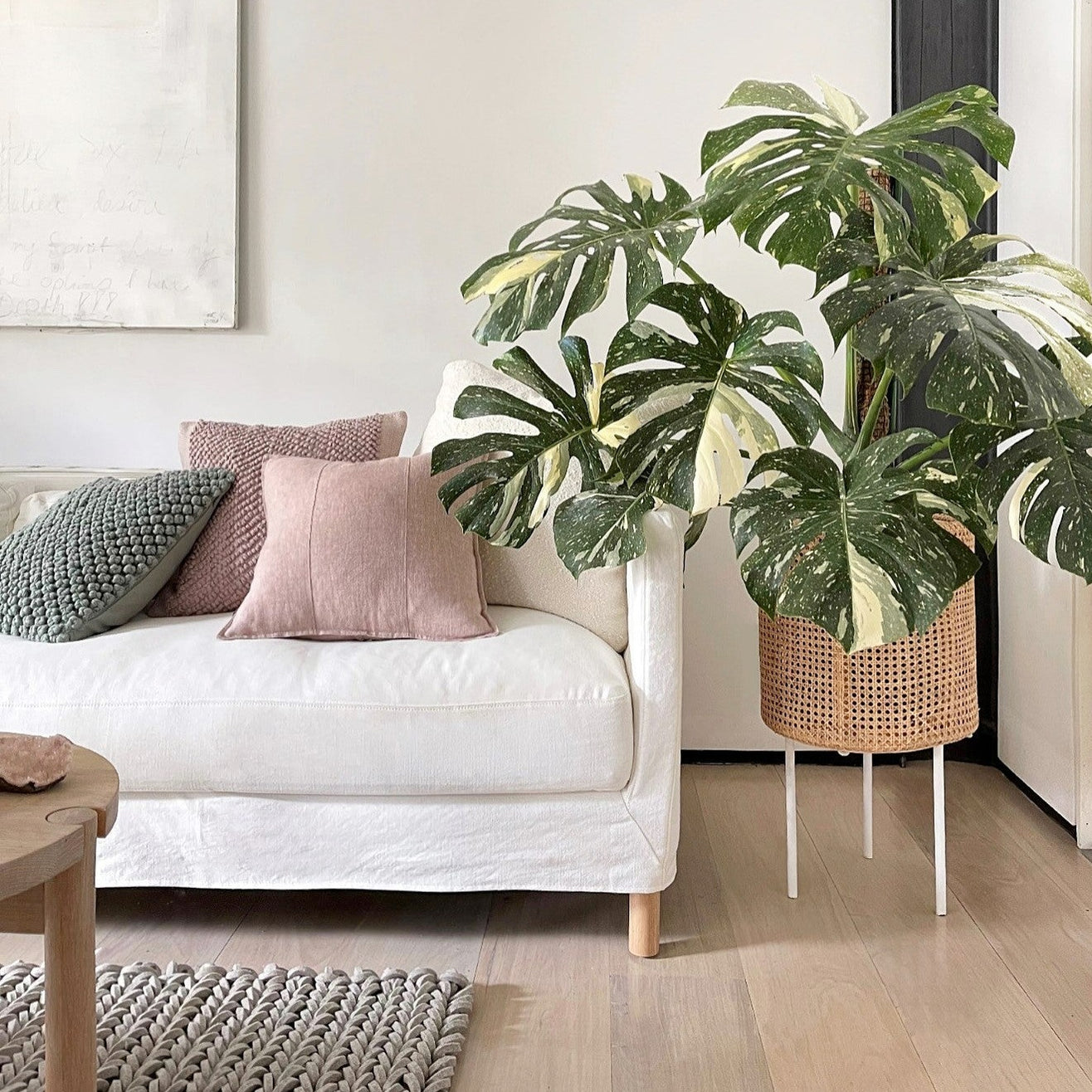 Halifax Sofa — Biku Furniture & Homewares