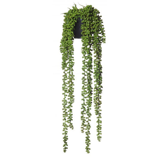 Hanging Pearls Garden Pot - Biku Furniture & Homewares