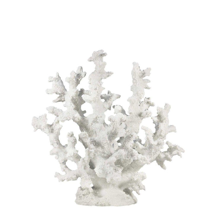 Lauri Coral Sculpture - Biku Furniture & Homewares