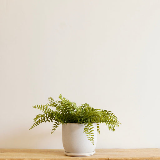 Lya Pot Ceramic Cream - Biku Furniture & Homewares