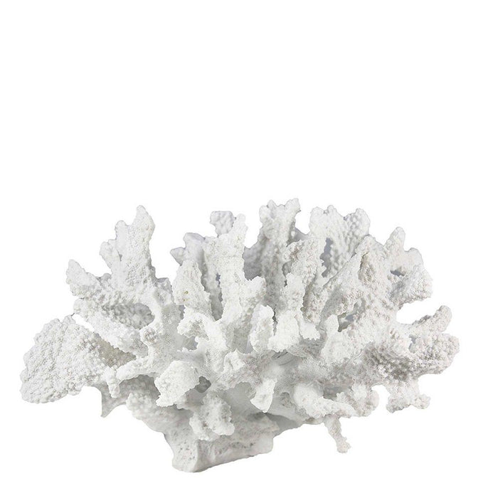 Maui Coral Sculpture - Biku Furniture & Homewares