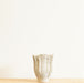 Moana Ceramic Vase - Biku Furniture & Homewares