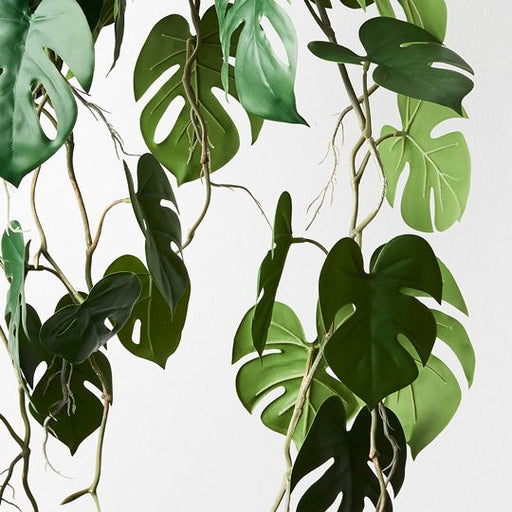 Monstera Hanging Pot - Biku Furniture & Homewares