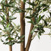 Olive Tree - Biku Furniture & Homewares
