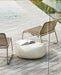 Orion Dining Chair - Biku Furniture & Homewares