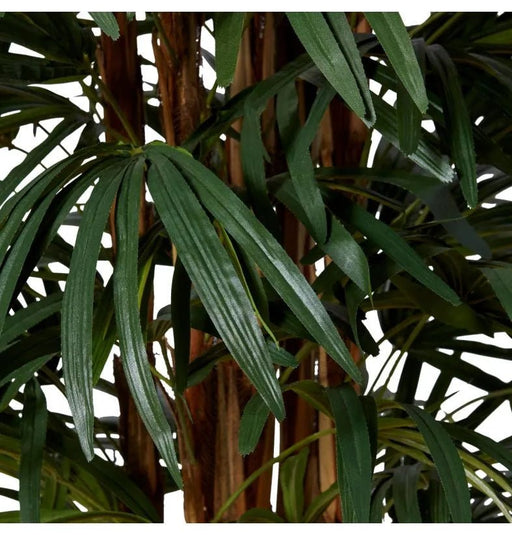 Palm Raphis Green 180cm - Biku Furniture & Homewares