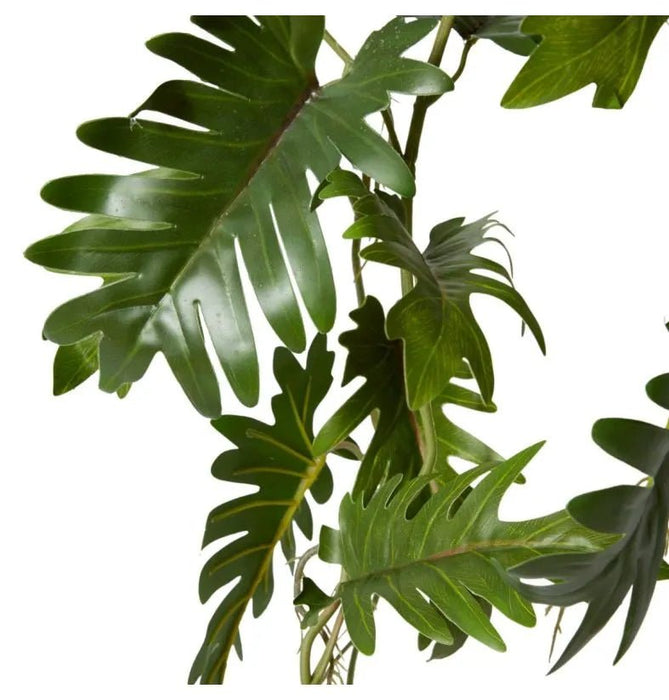 Philodendron Hanging Planter - Biku Furniture & Homewares