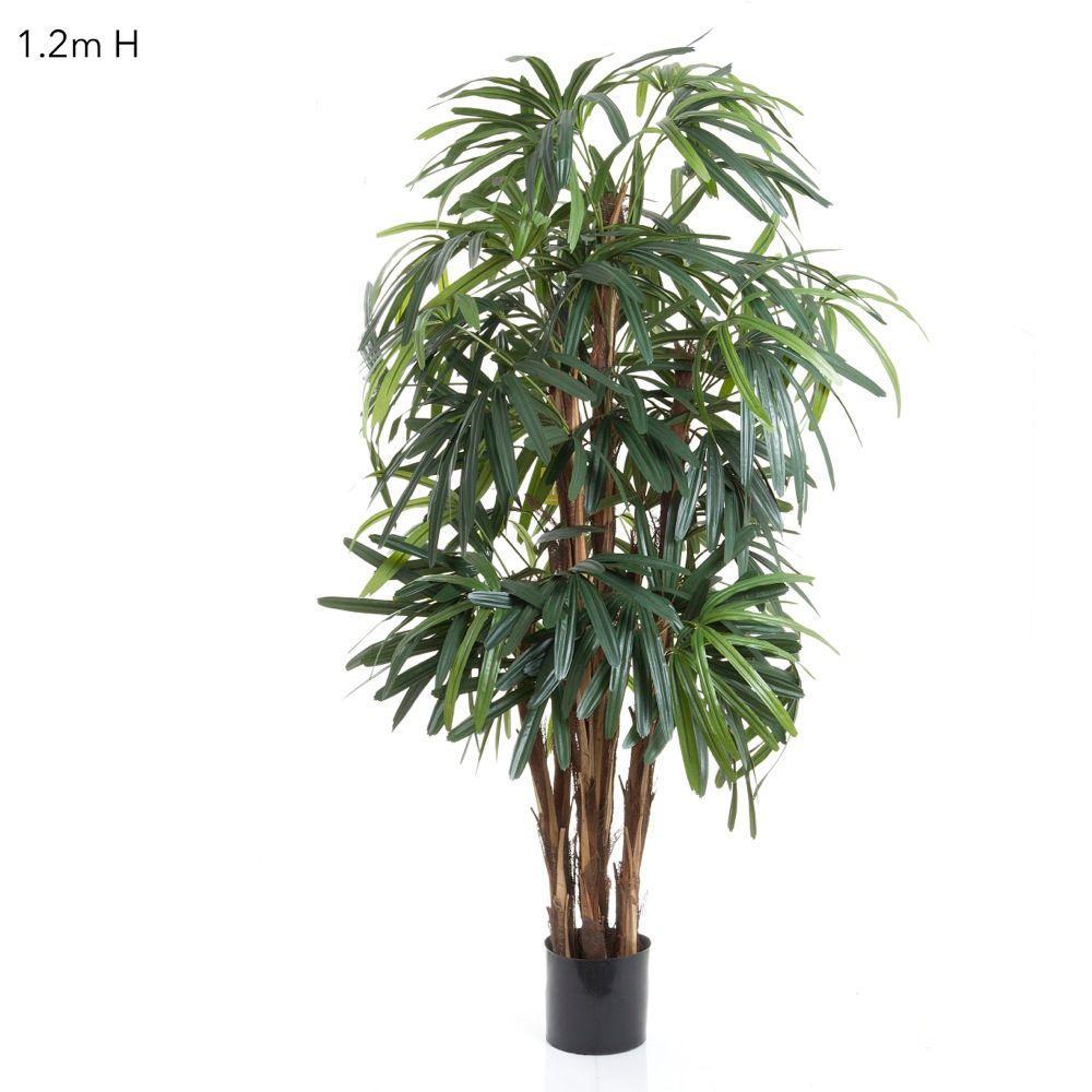 thin palm plant Raphis Palm Thin Artificial Plant — Biku Furniture & Homewares