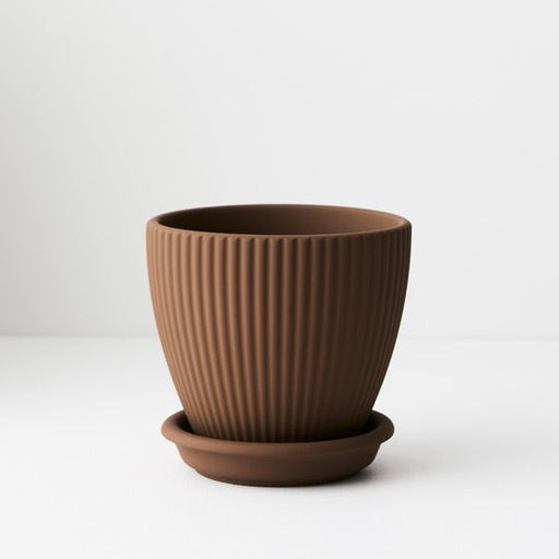 Shangra Ceramic Pot - Biku Furniture & Homewares