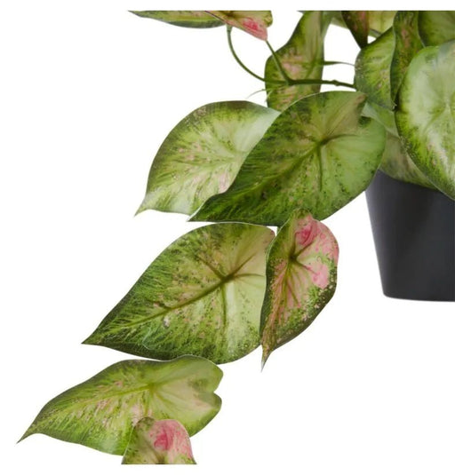 Silver Lady Hanging Basket - Biku Furniture & Homewares