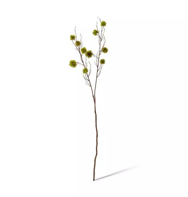 Spikey Green Chestnut Branch Decor - Biku Furniture & Homewares