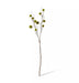 Spikey Green Chestnut Branch Decor - Biku Furniture & Homewares