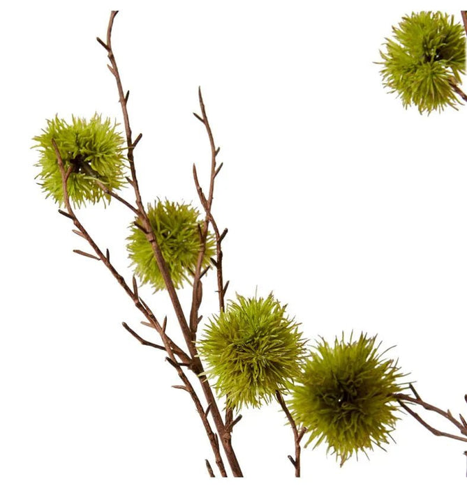 Spikey Green Chestnut Branch Decor - Biku Furniture & Homewares