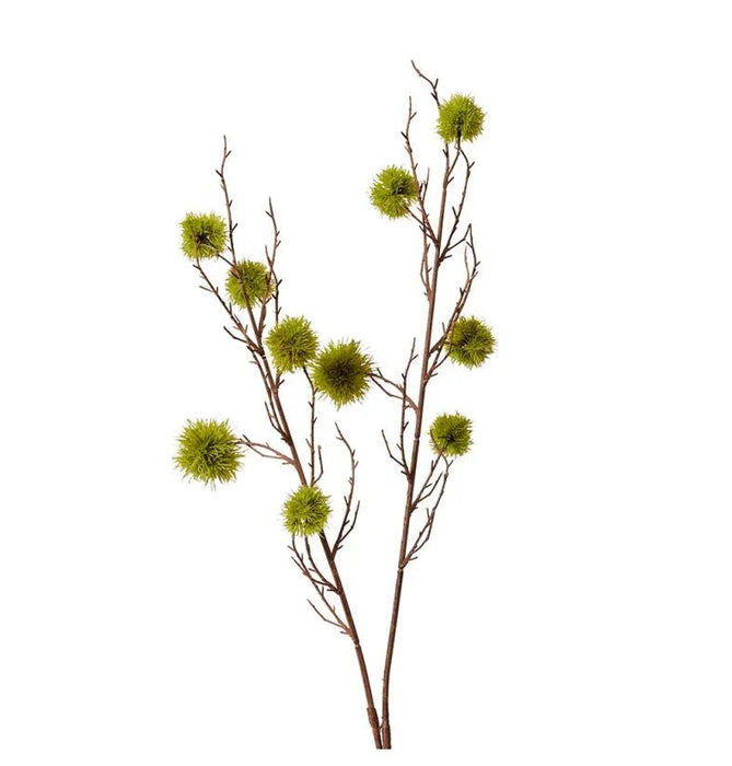 Spikey Green Chestnut Branch Decor - Biku Furniture & Homewares