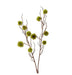 Spikey Green Chestnut Branch Decor - Biku Furniture & Homewares