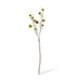Spikey Green Chestnut Branch Decor - Biku Furniture & Homewares