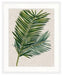 Tropical Evergreen I - Biku Furniture & Homewares